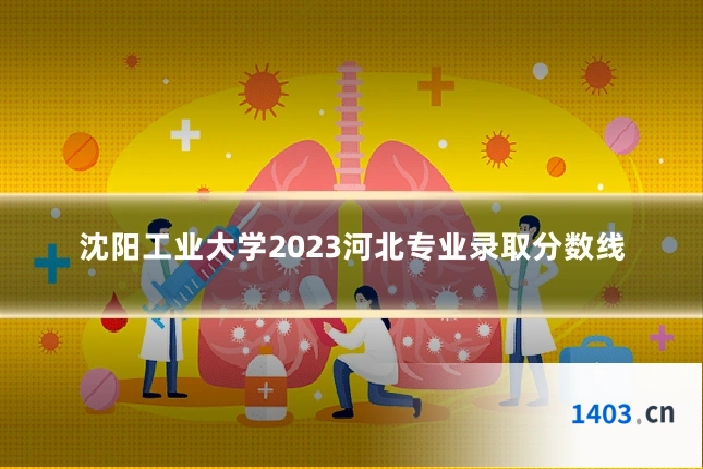 沈阳工业大学2023河北专业录取分数线