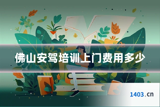 佛山安驾培训上门费用多少