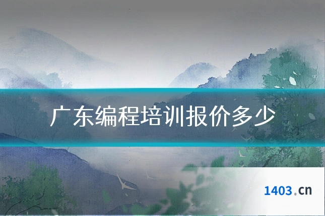 广东编程培训报价多少