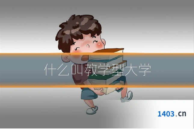 什么叫教学型大学