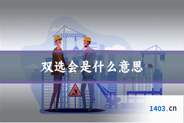 双选会是什么意思