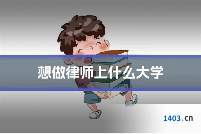 想做律师上什么大学