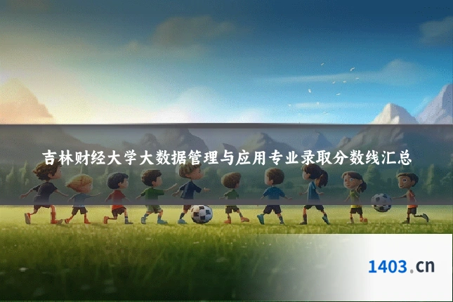 吉林财经大学大数据管理与应用专业录取分数线汇总