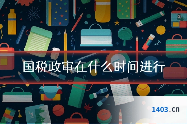国税政审在什么时间进行