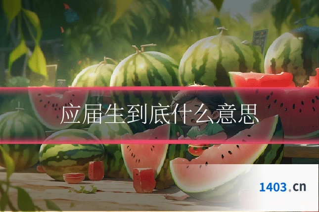 应届生到底什么意思