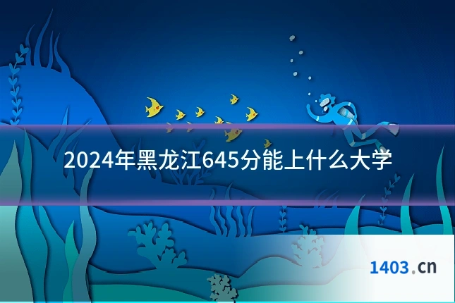 2024年黑龙江645分能上什么大学