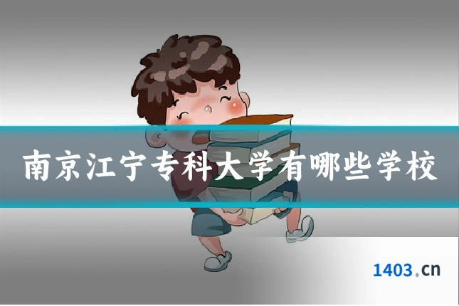 南京江宁专科大学有哪些学校