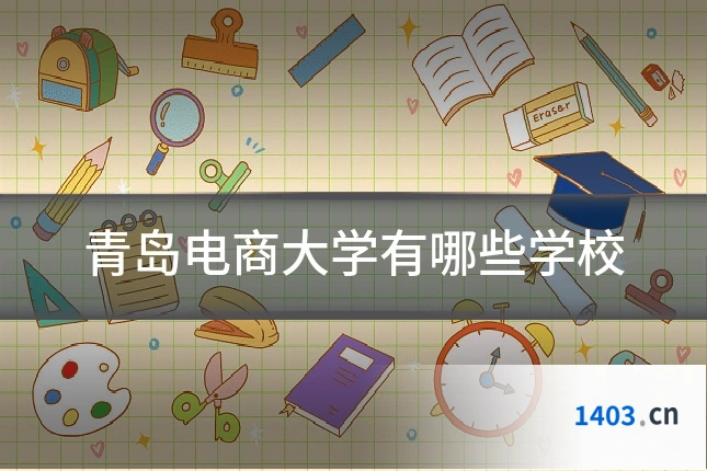 青岛电商大学有哪些学校