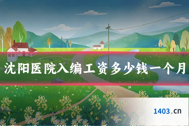 沈阳医院入编工资多少钱一个月