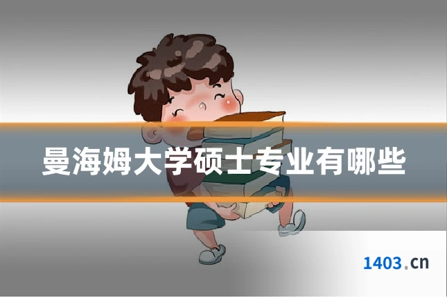 曼海姆大学硕士专业有哪些