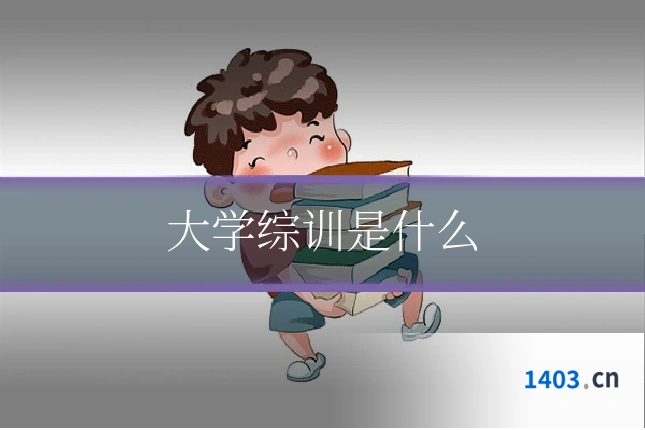 大学综训是什么