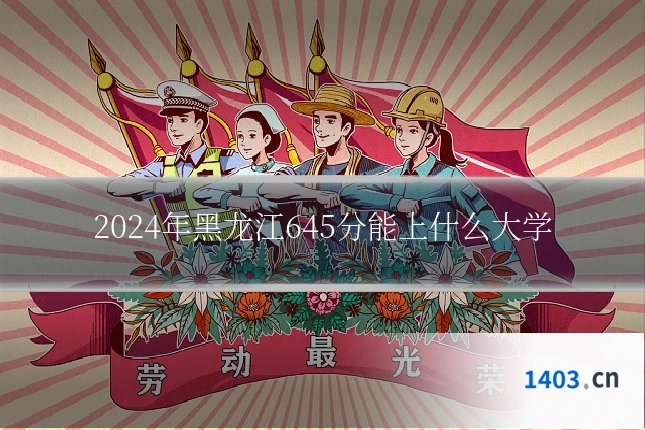 2024年黑龙江645分能上什么大学