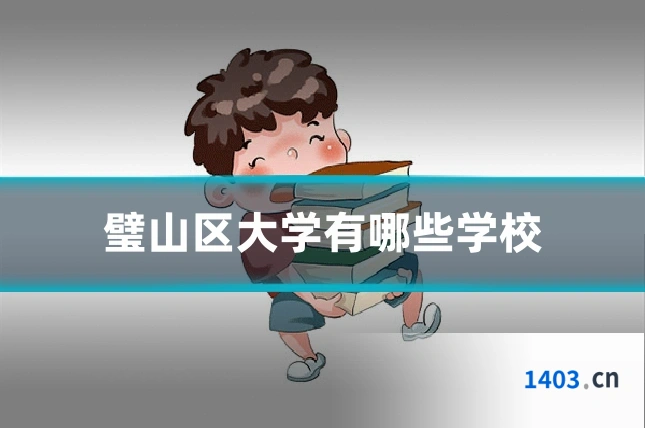 璧山区大学有哪些学校