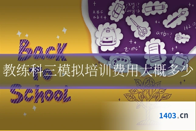 教练科三模拟培训费用大概多少