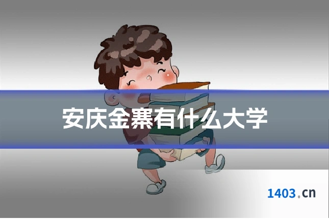 安庆金寨有什么大学