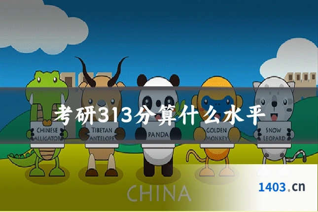 考研313分算什么水平