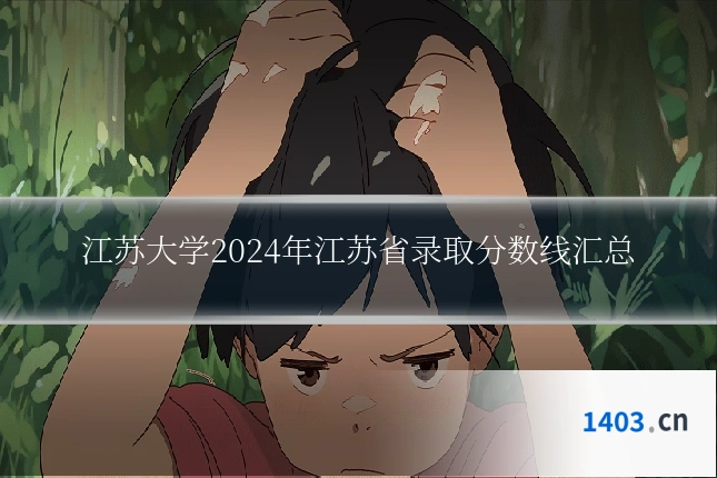 江苏大学2024年江苏省录取分数线汇总