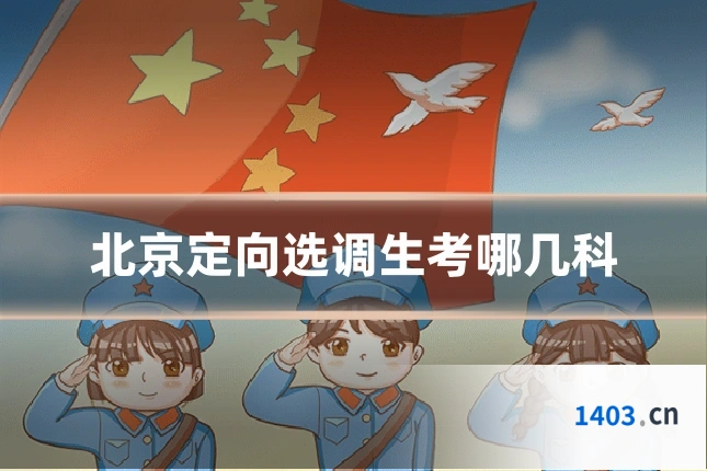 北京定向选调生考哪几科