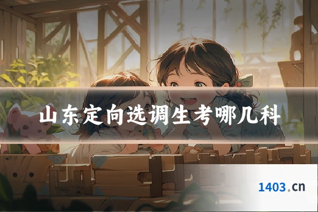 山东定向选调生考哪几科