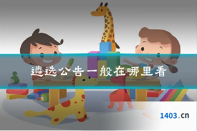 遴选公告一般在哪里看