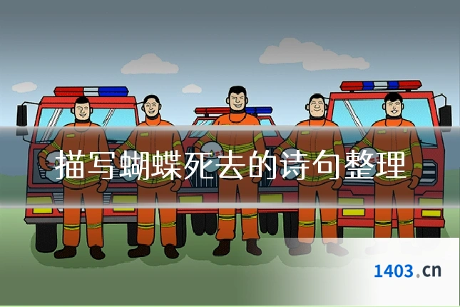 描写蝴蝶死去的诗句整理