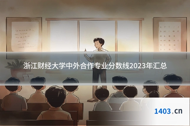 浙江财经大学中外合作专业分数线2023年汇总