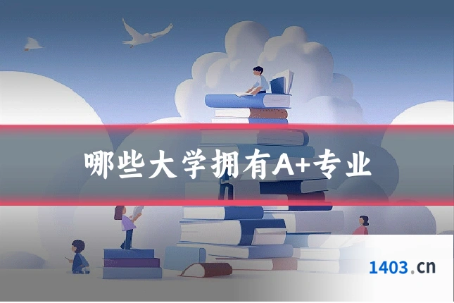 哪些大学拥有A+专业