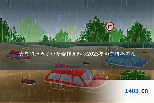 青岛科技大学中外合作分数线2023年山东河北汇总