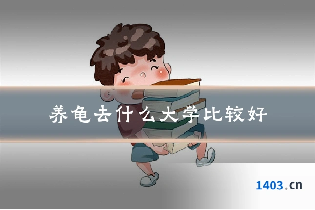 养龟去什么大学比较好