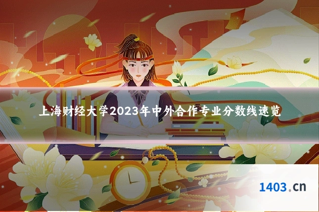 上海财经大学2023年中外合作专业分数线速览