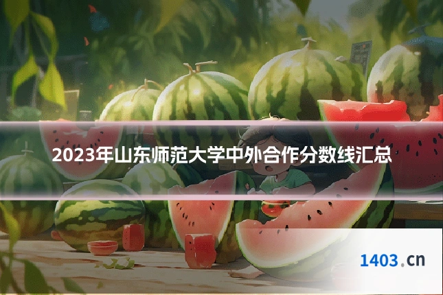 2023年山东师范大学中外合作分数线汇总