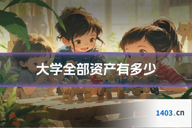 大学全部资产有多少