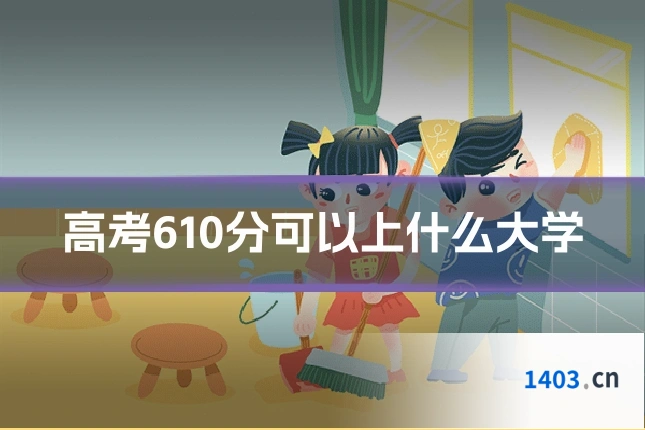 高考610分可以上什么大学