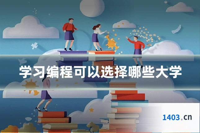 学习编程可以选择哪些大学