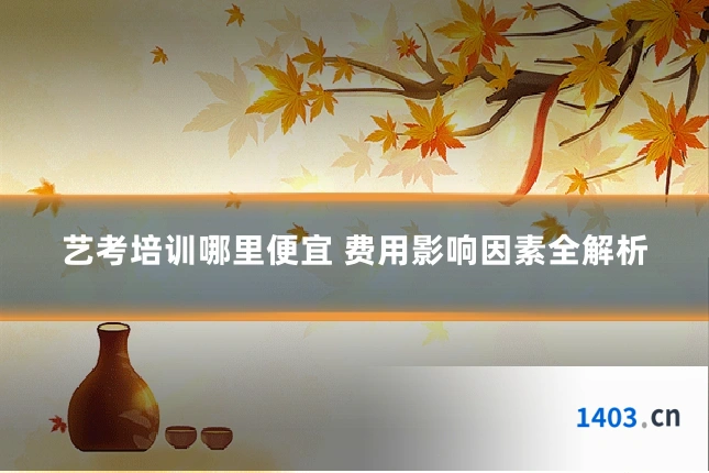 艺考培训哪里便宜 费用影响因素全解析