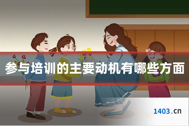 参与培训的主要动机有哪些方面