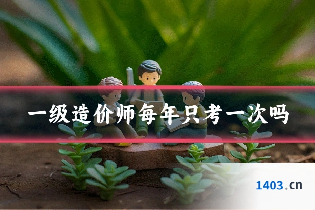 一级造价师每年只考一次吗