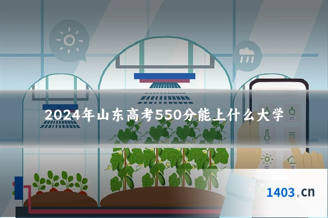 2024年山东高考550分能上什么大学