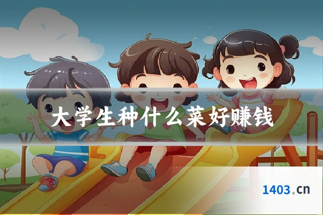 大学生种什么菜好赚钱