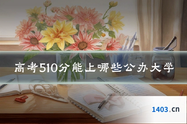 高考510分能上哪些公办大学