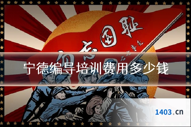 宁德编导培训费用多少钱
