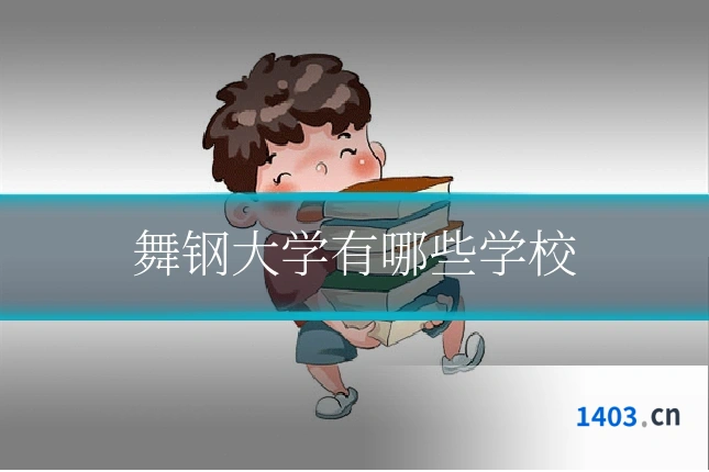 舞钢大学有哪些学校