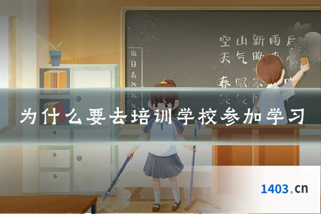 为什么要去培训学校参加学习