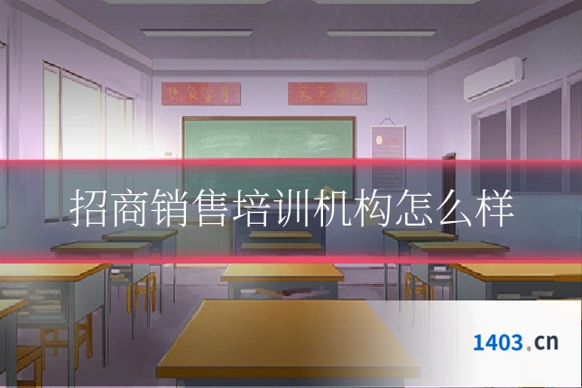 招商销售培训机构怎么样