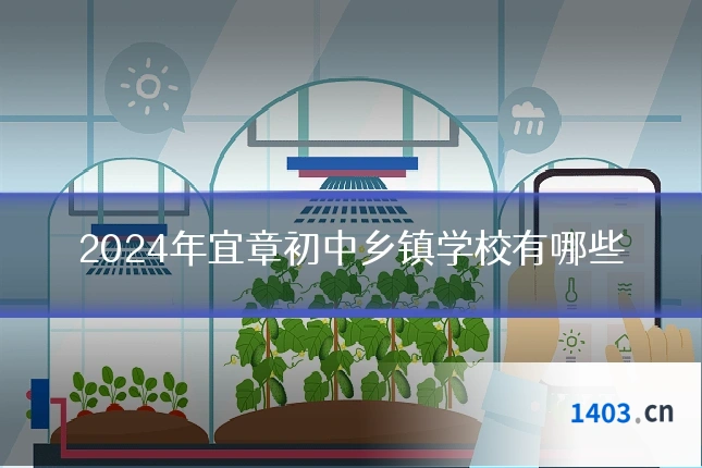 2024年宜章初中乡镇学校有哪些