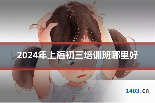 2024年上海初三培训班哪里好
