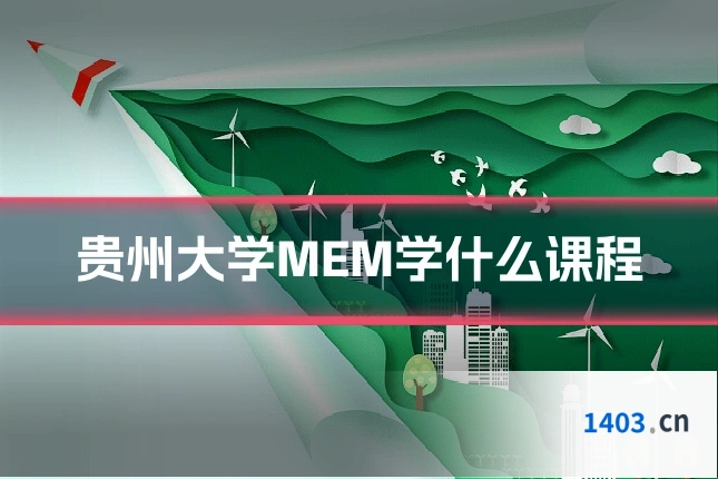 贵州大学MEM学什么课程