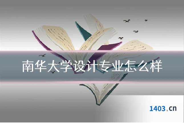 南华大学设计专业怎么样