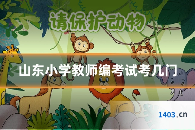 山东小学教师编考试考几门