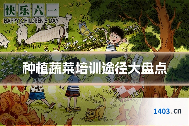 种植蔬菜培训途径大盘点